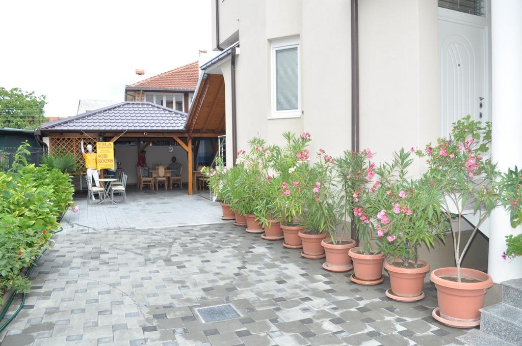 Guest House Miranda Ohrid Ngoại thất bức ảnh
